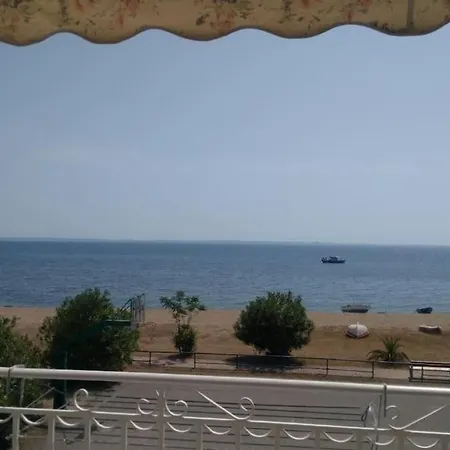 Dani's Summer House